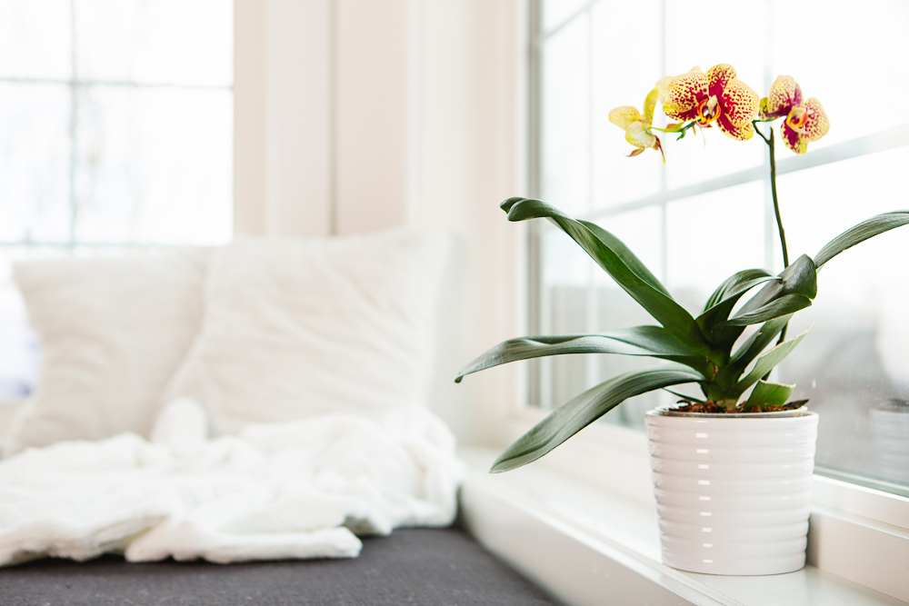 Advantages of Replacing Window Sills