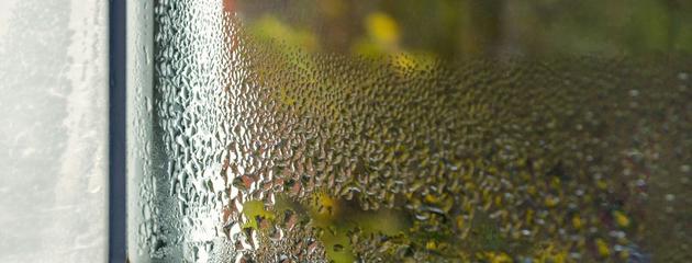 Crying-windows-how-to-resolve-condensation-issue